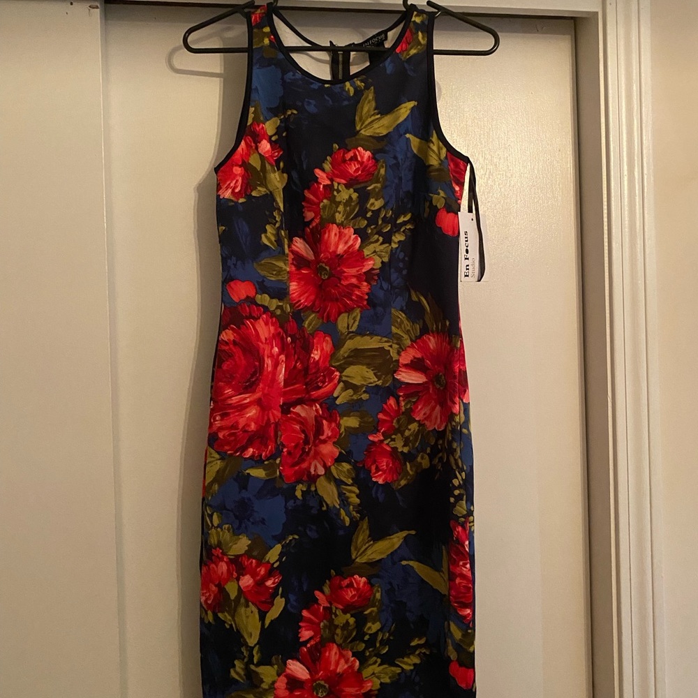Enfocus studio size 6 dress